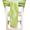 Chair Tie - Raw Silk - Apple Green