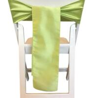 Chair Tie - Raw Silk - Apple Green