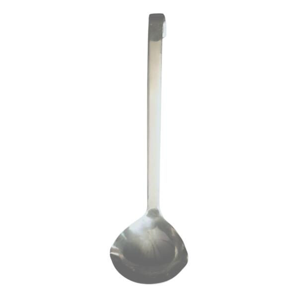 Punch Ladle