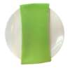 Apple Green Napkin
