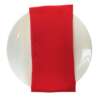 Red Napkin