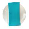 Turquoise Napkin