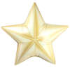 Mylar 24" - 24K Gold Star