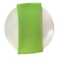 Apple Green Napkin