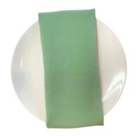 Celadon Green Napkin