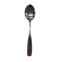 Harmony Soup Spoon