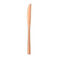 Rose Gold Dinner Knife