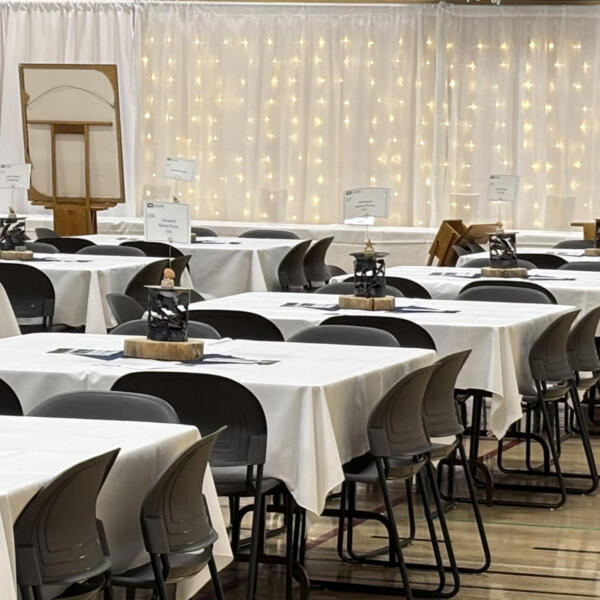 Hanging Curtain Lights, 9.5'high x 16'long