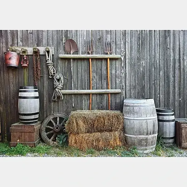 BACKDROP 10' X 10' -  WESTERN THEME